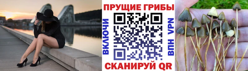 Псилоцибиновые грибы MAGIC MUSHROOMS  Губаха 