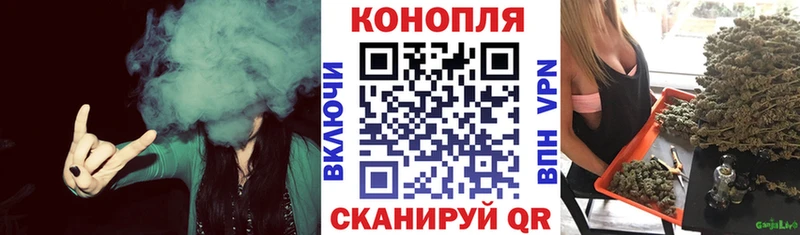 Шишки марихуана сатива  наркотики  Губаха 